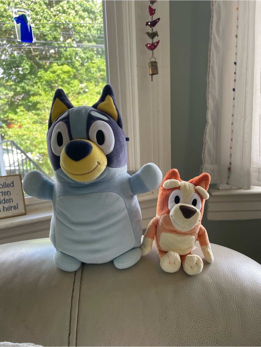 Bluey and Bingo Squishmallow plushy set